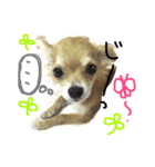 メロディ＆ルイ スタンプ 1（個別スタンプ：5）