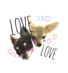 メロディ＆ルイ スタンプ 1（個別スタンプ：7）