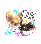 メロディ＆ルイ スタンプ 1（個別スタンプ：8）
