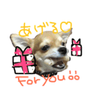 メロディ＆ルイ スタンプ 1（個別スタンプ：21）