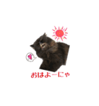 黒猫＆ブサカワねこのスタンプ集です。（個別スタンプ：1）