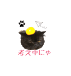 黒猫＆ブサカワねこのスタンプ集です。（個別スタンプ：5）