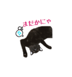 黒猫＆ブサカワねこのスタンプ集です。（個別スタンプ：10）