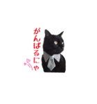 黒猫＆ブサカワねこのスタンプ集です。（個別スタンプ：11）