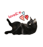 黒猫＆ブサカワねこのスタンプ集です。（個別スタンプ：19）