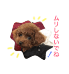 プードルの気持ち パート3（個別スタンプ：5）