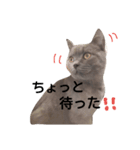 アゲ太郎3（個別スタンプ：11）