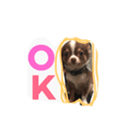 daitenshicocotan two（個別スタンプ：2）