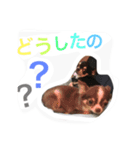 daitenshicocotan two（個別スタンプ：10）