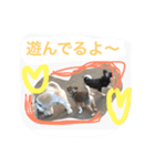 daitenshicocotan two（個別スタンプ：11）