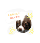 daitenshicocotan two（個別スタンプ：14）