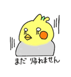 おかめインコの夫婦（個別スタンプ：3）