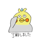おかめインコの夫婦（個別スタンプ：13）