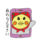 おかめインコの夫婦（個別スタンプ：14）