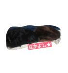 ダックスたちとパグ（個別スタンプ：11）