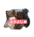 ダックスたちとパグ（個別スタンプ：12）