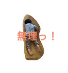MR.hyt3（個別スタンプ：9）