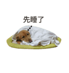 Pucky（個別スタンプ：5）