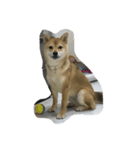 ナッツッツ〜！（個別スタンプ：3）