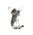Meaw meaw..（個別スタンプ：3）
