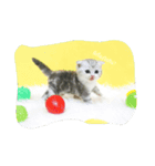 Meaw meaw..（個別スタンプ：4）