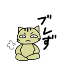 ぐだねこのぐだぐだの日々（個別スタンプ：21）