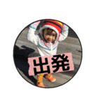 puka2（個別スタンプ：17）