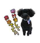戌年のご挨拶（個別スタンプ：2）