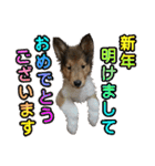 戌年のご挨拶（個別スタンプ：9）