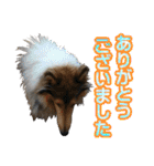 戌年のご挨拶（個別スタンプ：18）