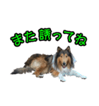 戌年のご挨拶（個別スタンプ：32）