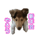 戌年のご挨拶（個別スタンプ：33）