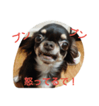 funny.s（個別スタンプ：1）