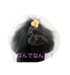 funny.s（個別スタンプ：3）