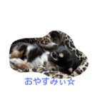 funny.s（個別スタンプ：4）