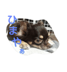 funny.s（個別スタンプ：5）