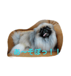 funny.s（個別スタンプ：6）