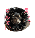 funny.s（個別スタンプ：8）