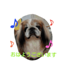 funny.s（個別スタンプ：12）