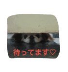 funny.s（個別スタンプ：13）