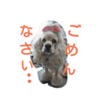 funny.s（個別スタンプ：15）