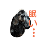 funny.s（個別スタンプ：20）