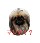 funny.s（個別スタンプ：21）