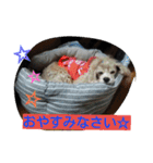 funny.s（個別スタンプ：23）