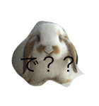 ウサギのキナ子（個別スタンプ：7）