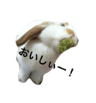 ウサギのキナ子（個別スタンプ：8）