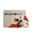 pinoko（個別スタンプ：8）