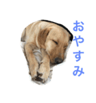 メルツ①（個別スタンプ：2）