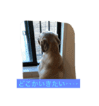 メルツ①（個別スタンプ：12）