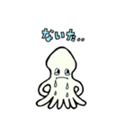 かわいいイカスタンプ（個別スタンプ：5）